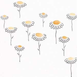 Meet your Posher, Roza